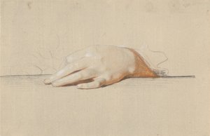 Eine linke Hand auf einem Tisch ruhend, eine Rose haltend