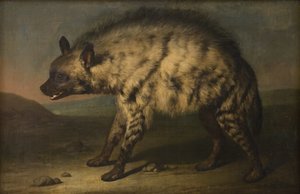 Die Hyäne im Menagerie am Schloss Frederiksberg von Jens Juel