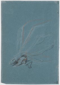 Studie von Beinen und Füßen für das Porträt von Madame de Prangins