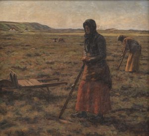 Frauen hacken Heidekraut von Jens Vige