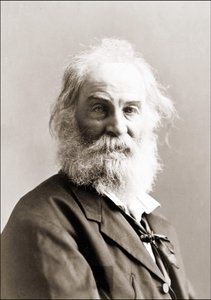 Porträt von Walt Whitman (1819 - 1892) von Gurney zwischen 1880 und 1890.
