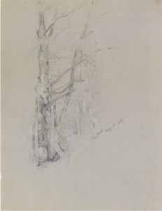 Trockener Bach, 1888 von Jervis McEntee