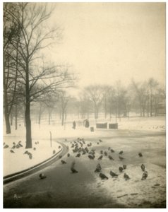 Boston Common, Boston, USA, ca. 1902-10