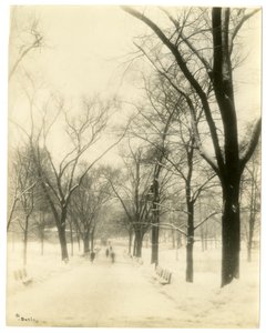 The Common, Boston, USA, ca. 1902-10