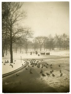 Ungewöhnlich kalt im Common, Boston, USA, ca. 1902-10