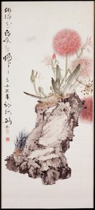Hortensie und Felsen