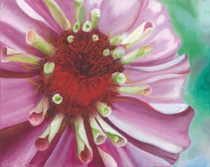 Lebendige Zinnienblüte