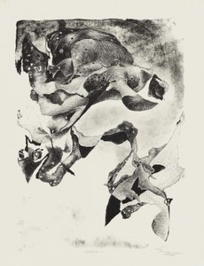 Heimsuchung von Jim Monson