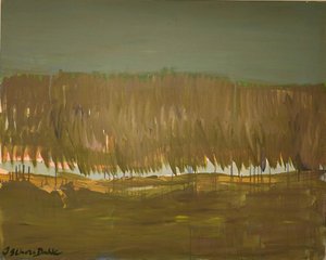 Weite Sumpflandschaft von Joackim Schou Dahle