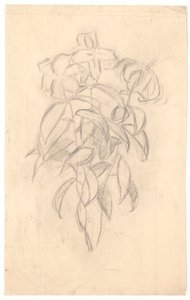 Blumenstudie von Joakim Frederik Skovgaard