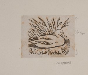 Eine Ente