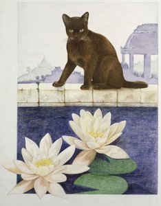 Burmesisch von Joan Freestone