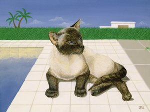 Siamkatze an einem Schwimmbecken von Joan Freestone