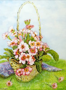 Rosa Primeln in einem Floristenkorb mit einem Paisley-Schal von Joan Thewsey