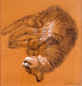Schlafende getigerte Katze, 2005 von Joan Thewsey