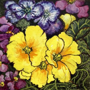 Drei gelbe Primeln umgeben von mauve und lila Primeln und Blättern von Joan Thewsey