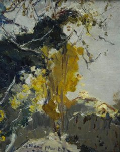 Baum von Joaquim Mir i Trinxet