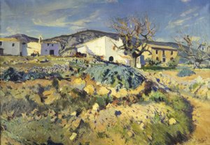 Die Bosheit von Magí von Joaquim Mir i Trinxet