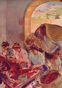 Die Vorbereitung von Trockentrauben, 1890, ca. 1932 von Joaquín Sorolla