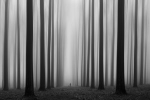 Nebliger Waldweg von Jochen Bongaerts