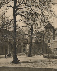 Unter den Ulmen im Hof des Middlesex Hospital, um 1935