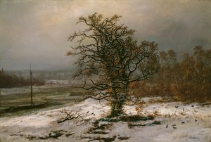 Eiche an der Elbe im Winter