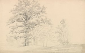 Laubbäume von Johan Christian Dahl