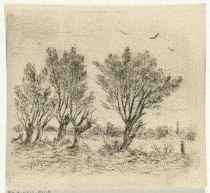 Weidenreihe von Johan Frederik Croockewit