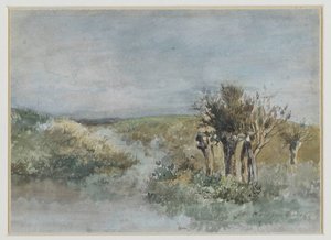 Landschaft mit Kopfweiden entlang eines Grabens