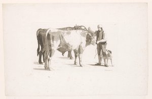 Mann und ein Hund neben zwei Ochsen mit einem Joch von Johan Jakob Biedermann