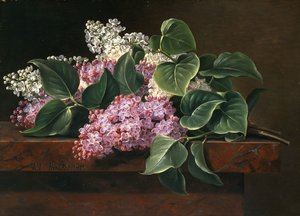 Flieder auf einer Fensterbank von Johan Laurents Jensen