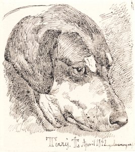 Hundekopf, Terry