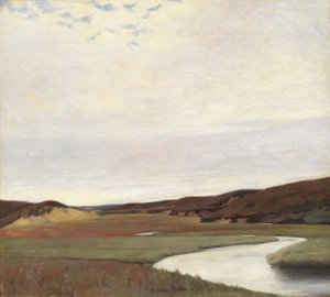 Ein Sommertag am Fluss Karup, Jütland von Johan Rohde