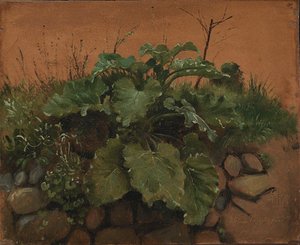 Eine Klette und andere Pflanzen an einer Steinmauer von Johan Thomas Lundbye