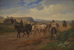 Eine Herde Ochsen in der römischen Campagna