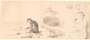 Der Affe. Rechts Studien von Affenköpfen usw.