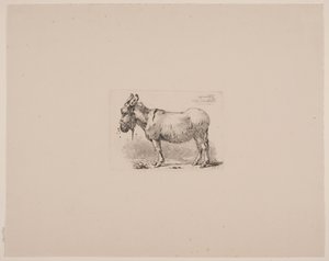 Ein Esel, geplagt von Fliegen von Johan Thomas Lundbye