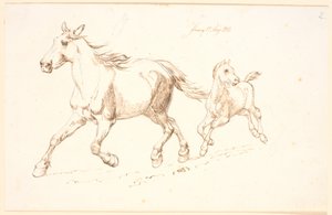 Galoppierende Stute mit Fohlen