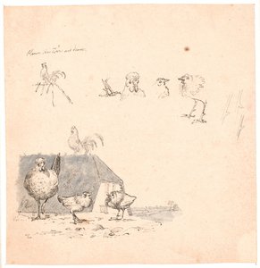 Die Hähnchen. Illustration zu Kaalunds "Fabler for Børn". Siehe Kommentar aus dem Arkatalog.