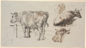 Rinderstudien. Links der Stier Graf Geert von Johan Thomas Lundbye