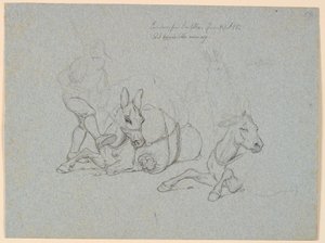 Liegender Esel, der von einem Führer geschlagen und getreten wird. Rechts zwei Studien eines liegenden und eines stehenden Esels von Johan Thomas Lundbye