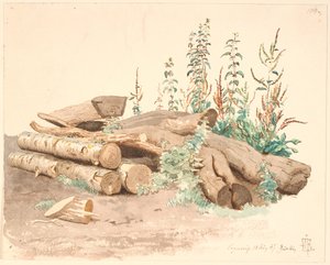 Einige gefällte Baumstämme, ein Wassertrug und verschiedene Pflanzen von Johan Thomas Lundbye
