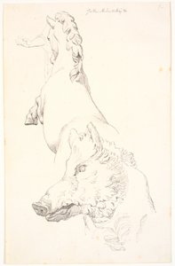 Studie nach antiken Skulpturen: Wildschweinkopf, Oberkörper eines steigenden Pferdes, von hinten gesehen und ein Arm mit Draperie