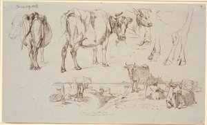 Studienblatt aus Vognserup. Oben Studien von Kühen, unten Landschaft mit stehenden und liegenden Kühen von Johan Thomas Lundbye