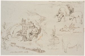 Studieblatt von Vognserup