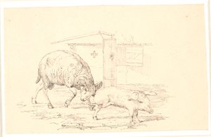 Der Widder und das Schwein. Illustration zu Kaalunds "Fabler for Børn" von Johan Thomas Lundbye