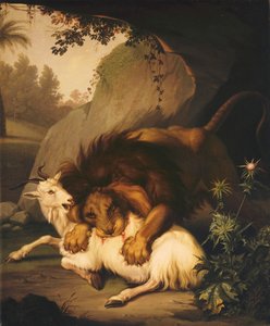 Ein Löwe greift eine Ziege an, 1785
