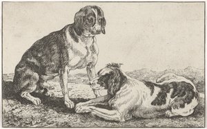 Zwei Hunde