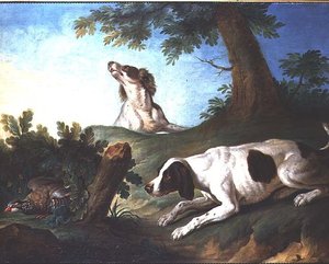 Spaniels treiben ein Rebhuhn auf