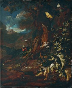 Landschaft mit Reptilien und Insekten von Johann Adalbert Angermayer